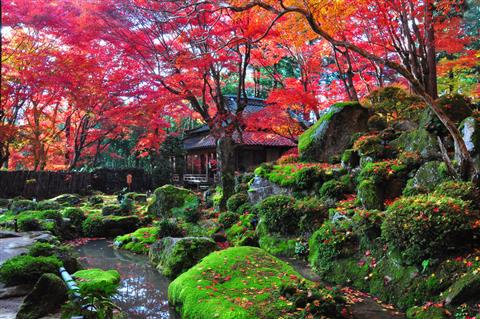 教林坊（秋頃）